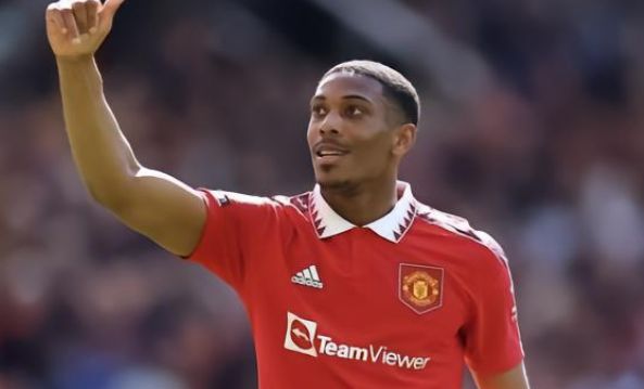 每周三次的 每周三次的